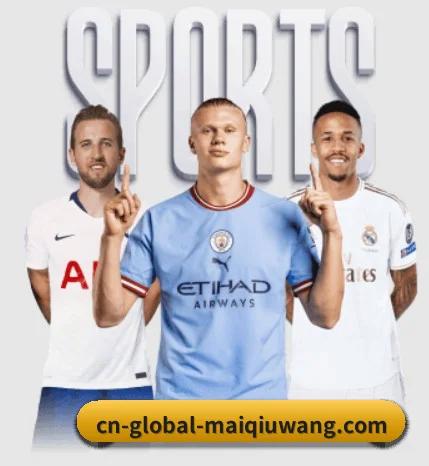 买球网登陆 APP 界面